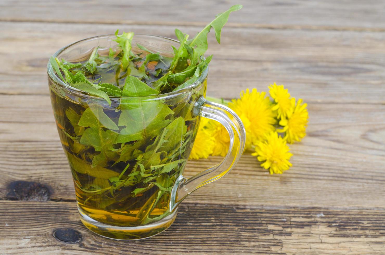 Cup of tea from fresh dandelion leaves. photo