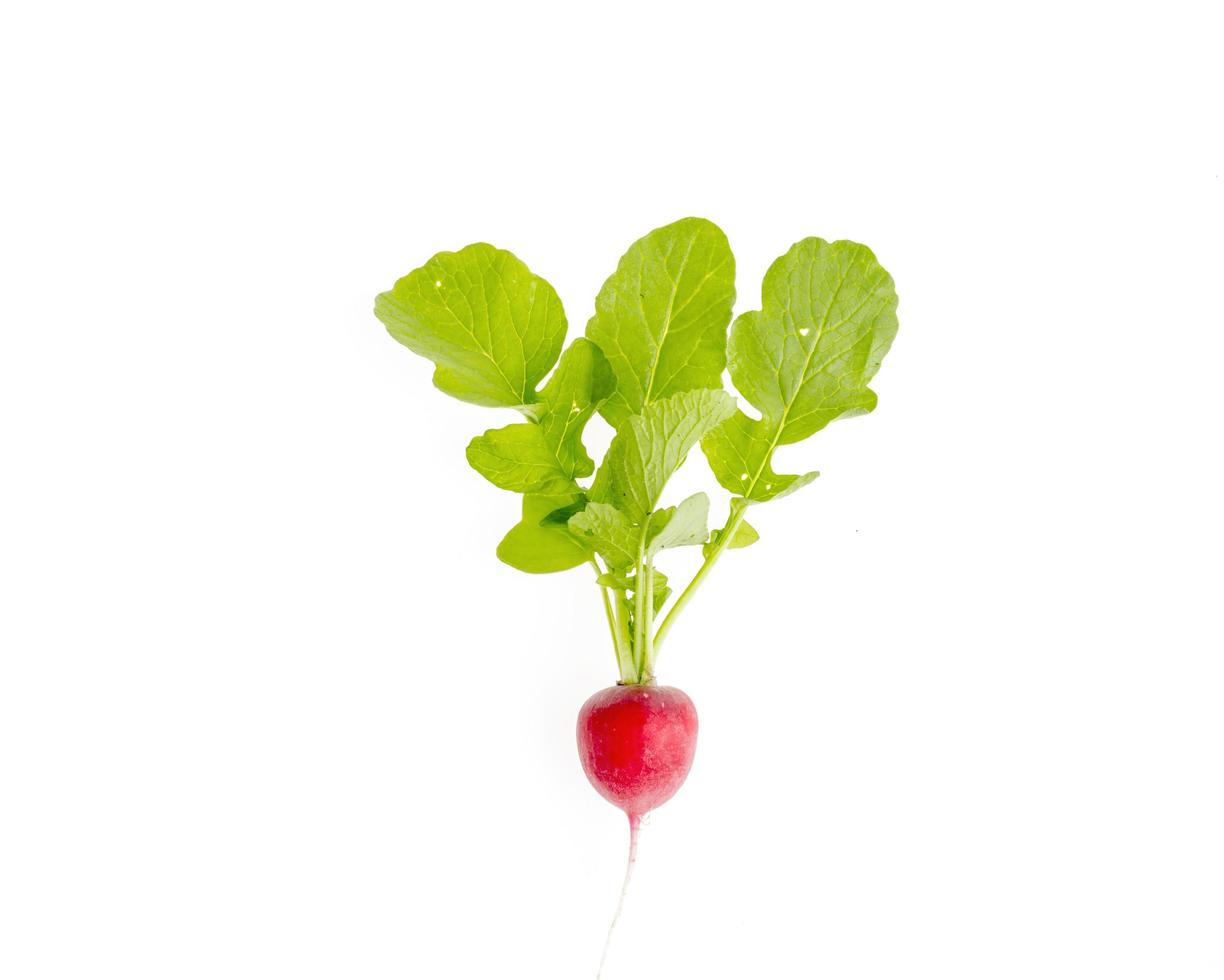 One fresh red radish with green leaves isolated on white background. photo