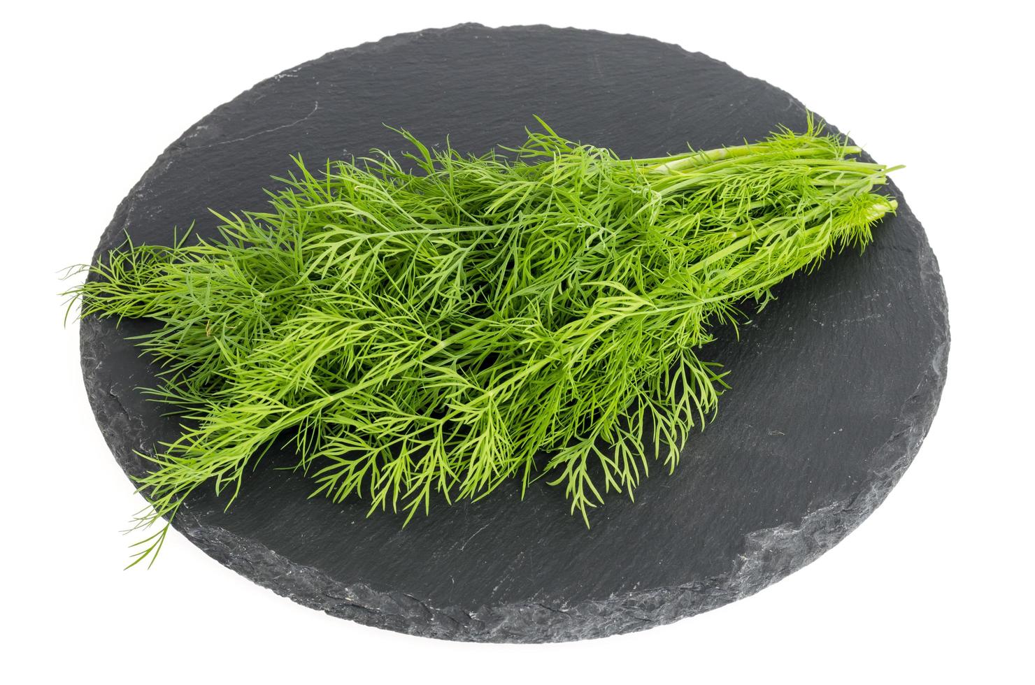 Bunch of fresh green dill on black stone. photo
