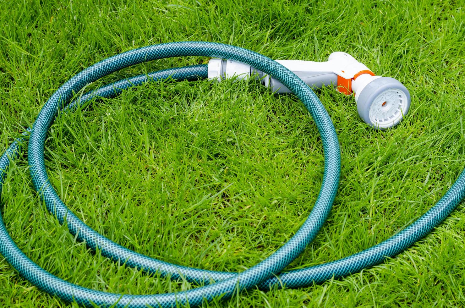 Green hose for watering lies on grass, lawn photo