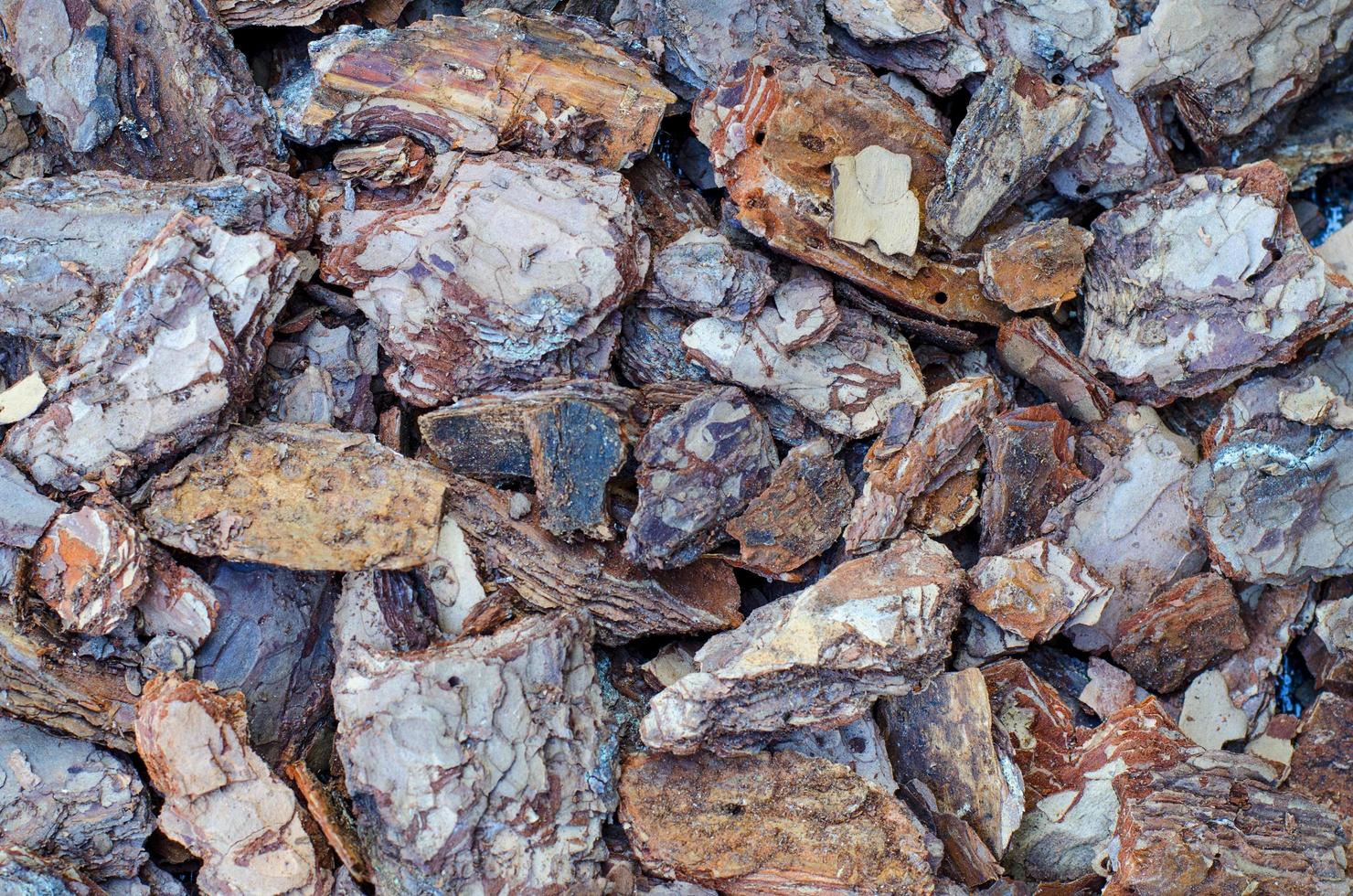Decorative background of pieces of tree bark for garden design. photo