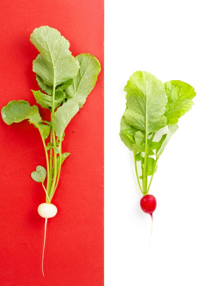 Bio products. Red and white radishes photo