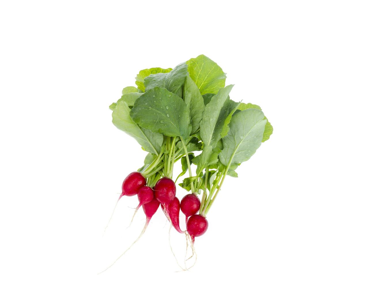 Fresh red radish with green leaves isolated on white background. photo