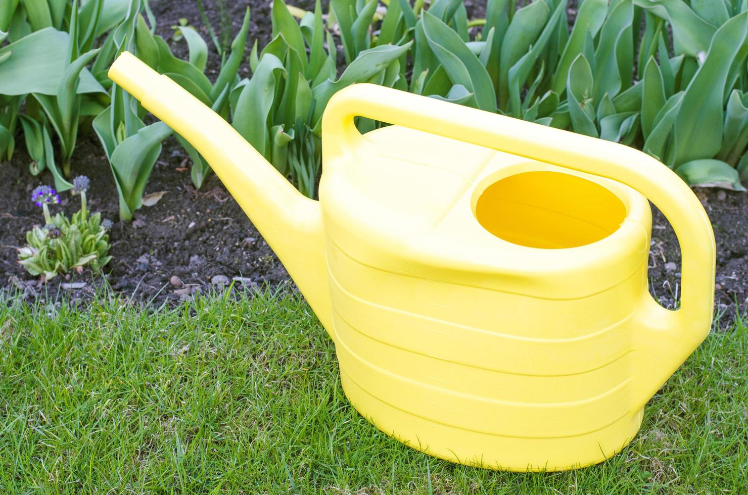 Yellow watering can for watering plants in garden. photo