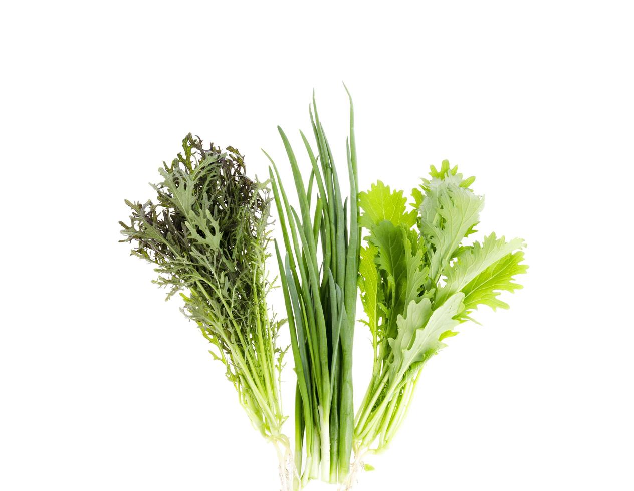 Fresh green leaves of bio salads, onions on white background. photo