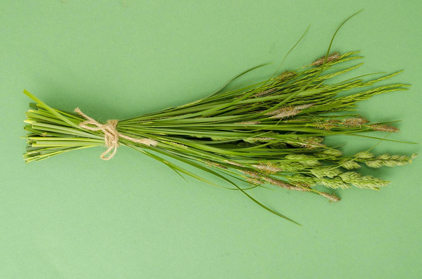 Bunch of wild herbs on bright background. photo