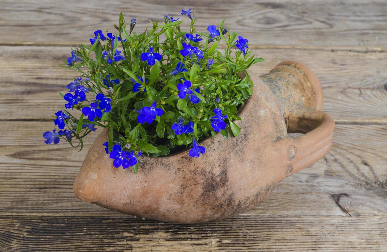 Old clay amphora vase with blue flowers photo