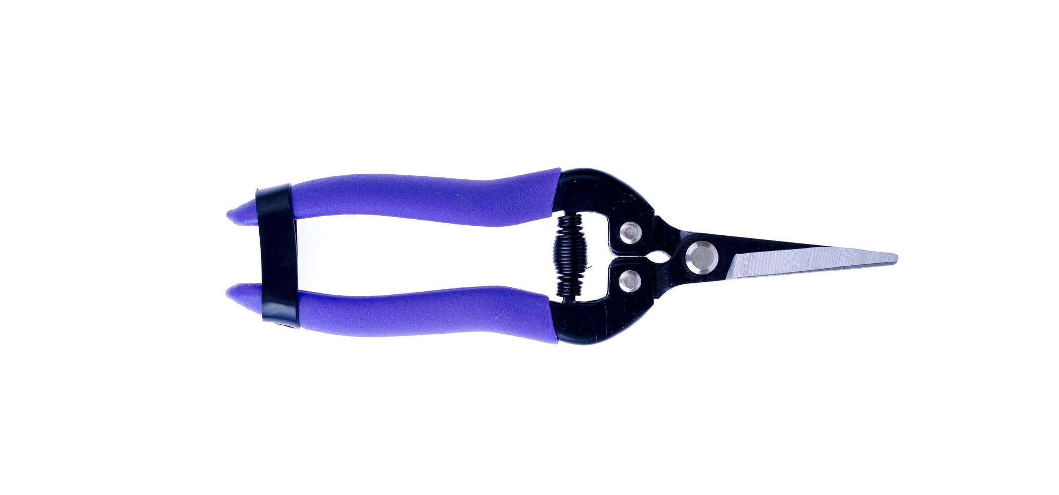 Garden tools, small scissors for cutting. Photo
