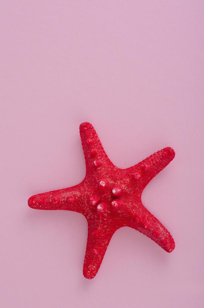 estrellas de mar rojas secas en rosa. Foto