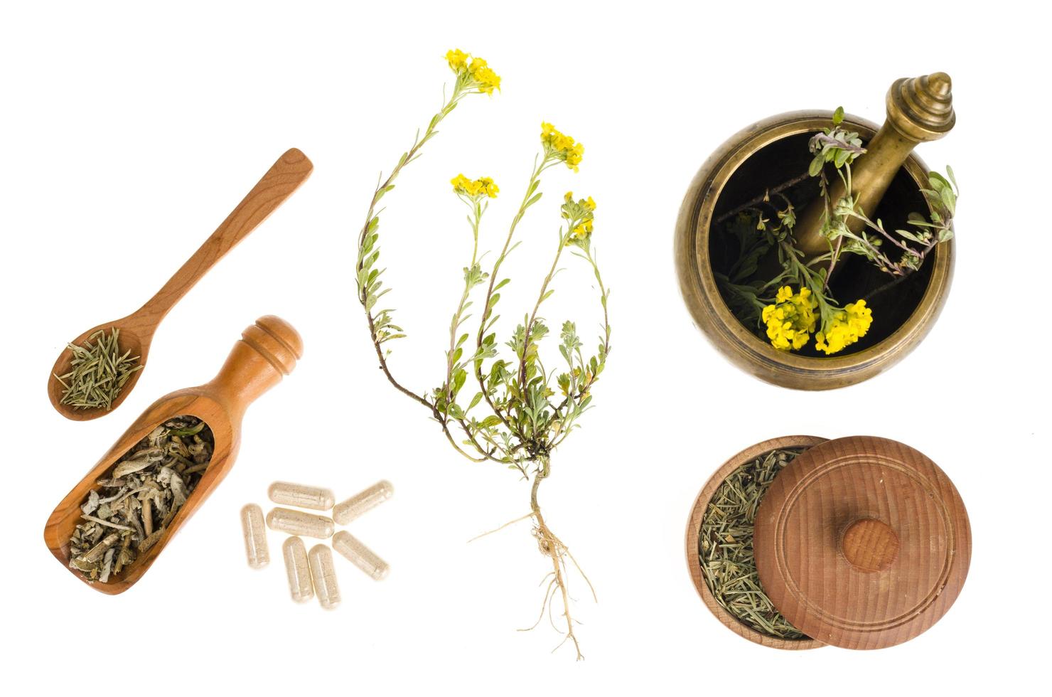 Fresh and dry shredded medicinal herbs, medical capsules. photo