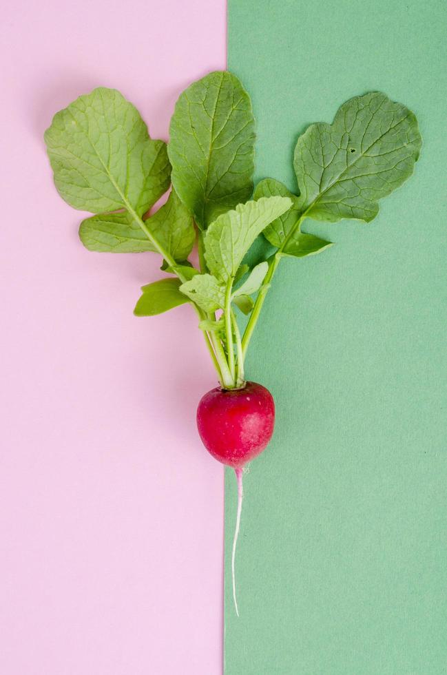 Red radish on plate. Vegetarian food concept, layout, menu. photo