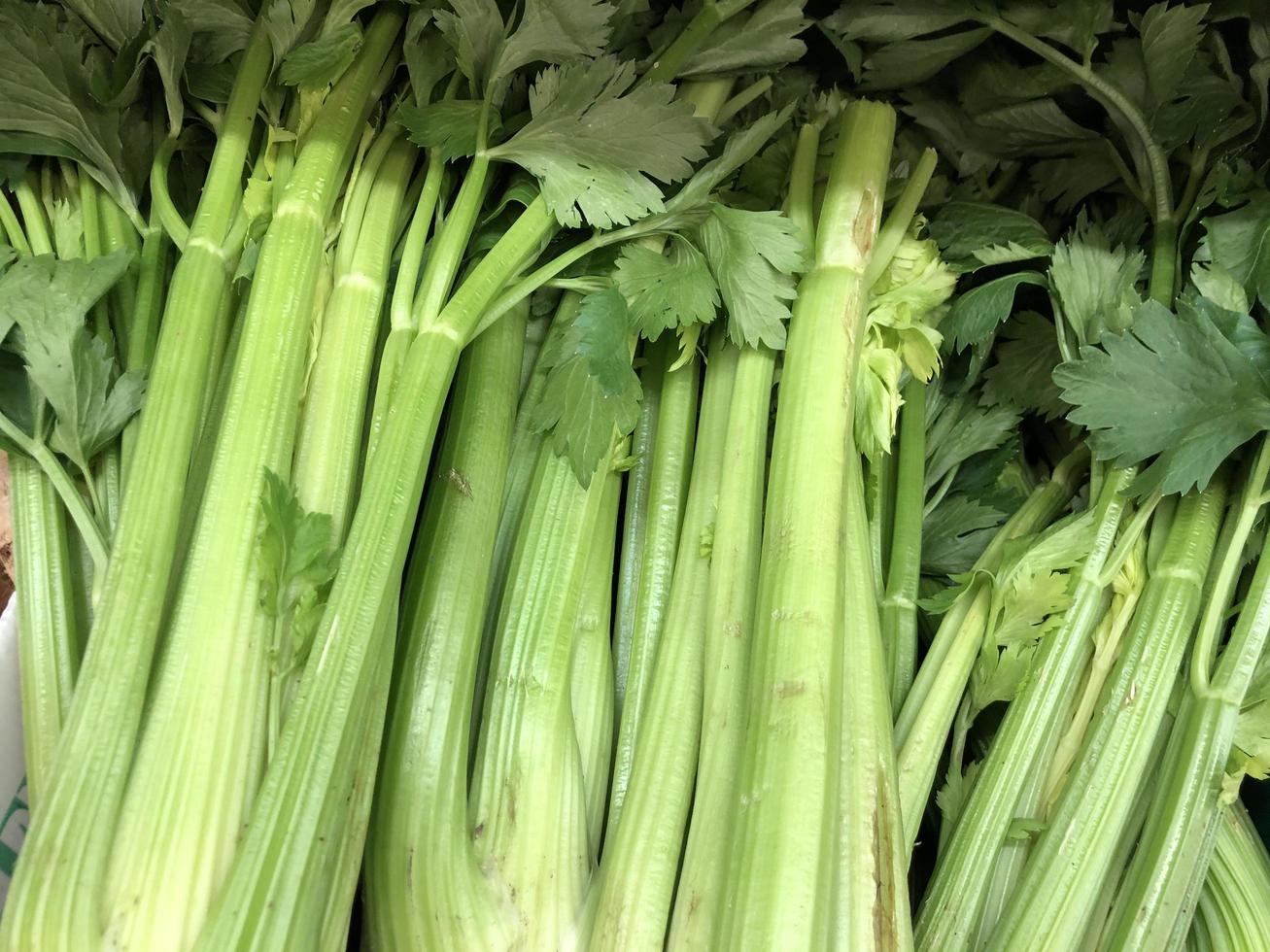 Macro photo celery. Stock photo green fresh celery