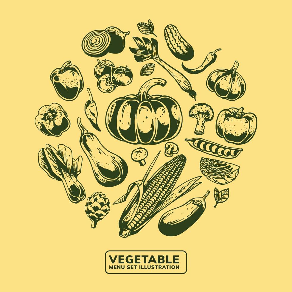 ilustración vegetal para el diseño de elementos vector