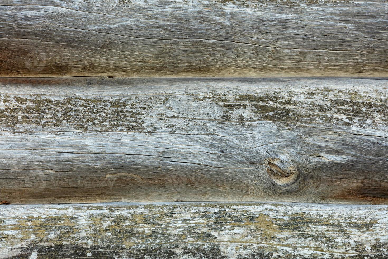 A fragment of a log wall made of weather-beaten old logs, in some places overgrown with gray moss. photo