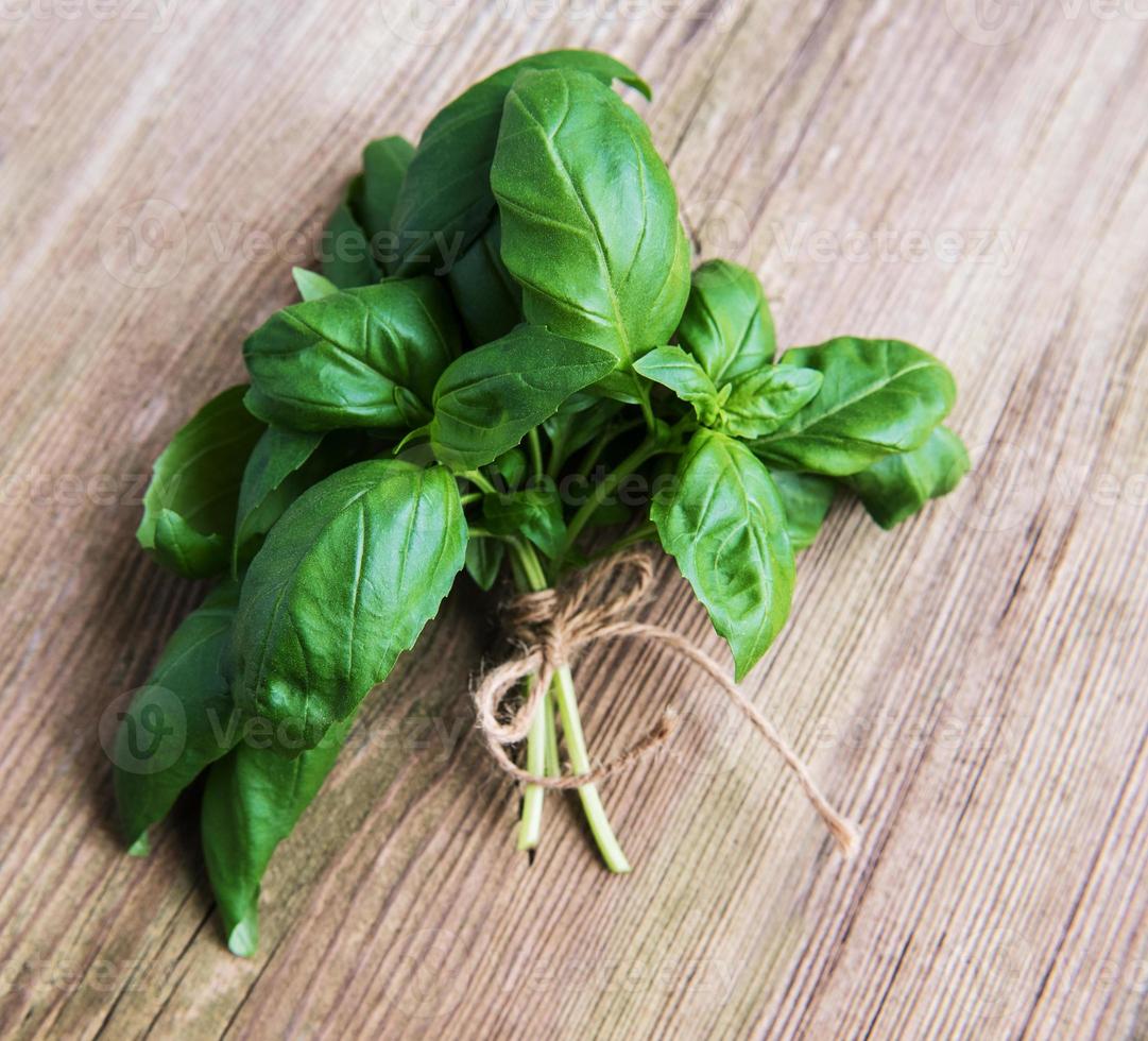 Fresh green basil photo