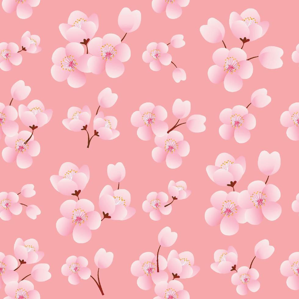 Spring Cherry Blossom vector