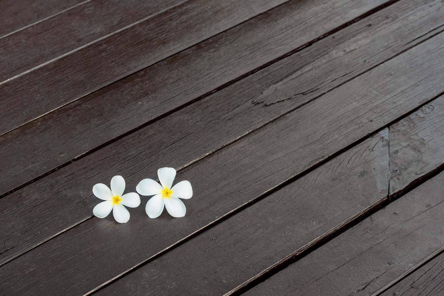 Plumeria flower on wood texture photo
