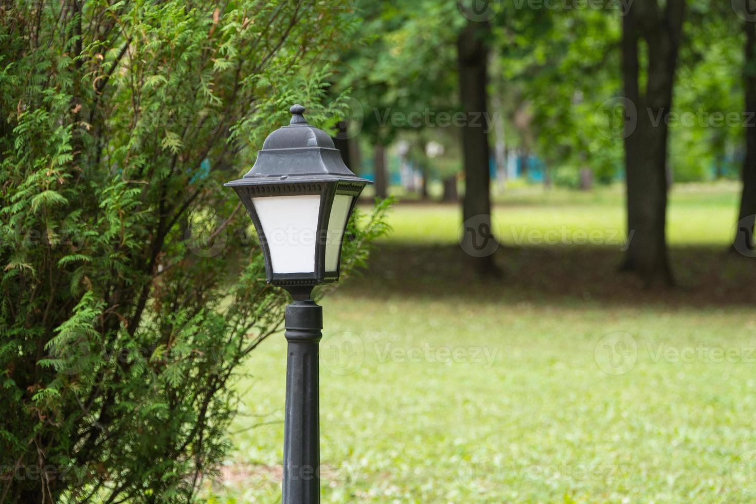 lamppost on the background of trees in the Park 5434463 Stock Photo at  Vecteezy