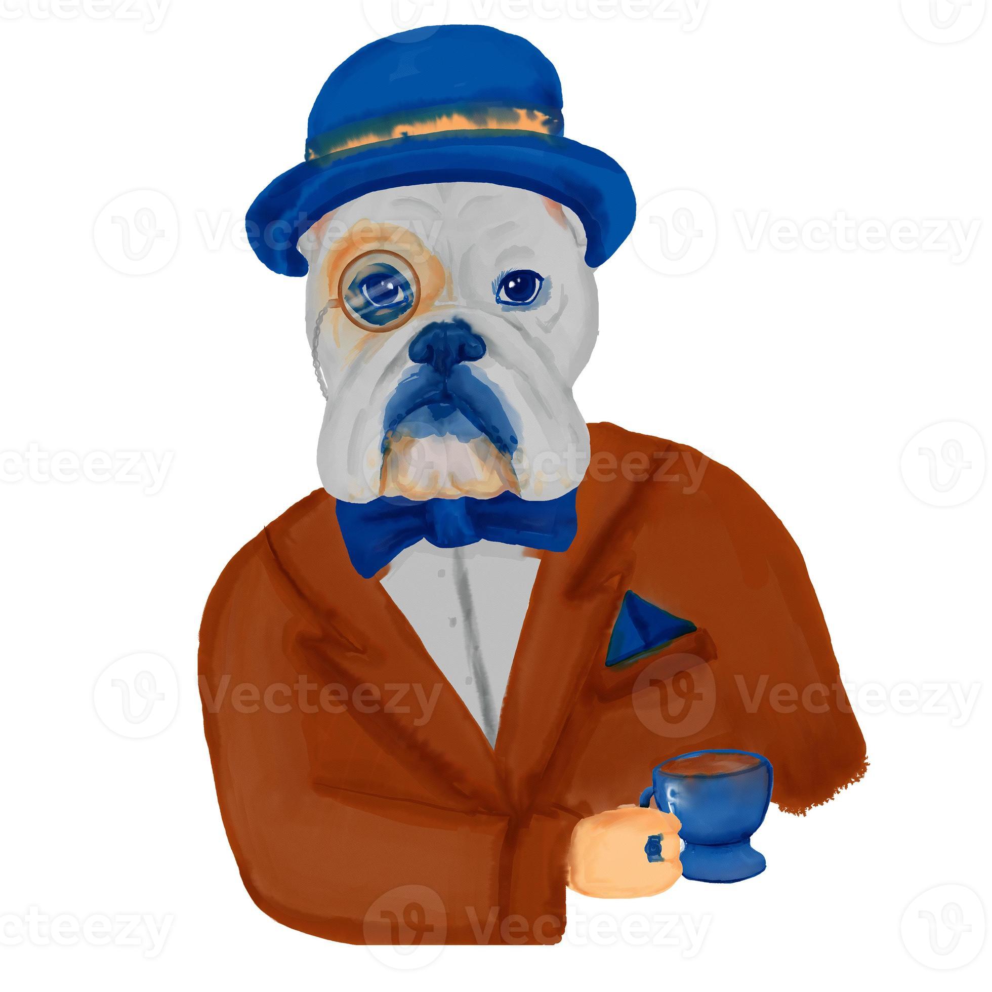 English Bulldog dog breed drinks tea isolated on white background