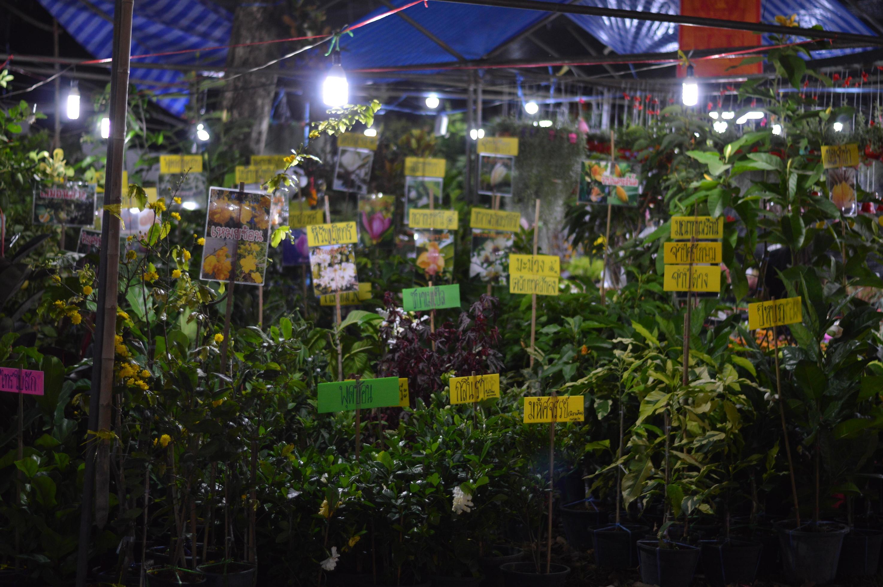 KASET (Khon Kaen University's Agricultural and Agro-Industrial Product Centre)