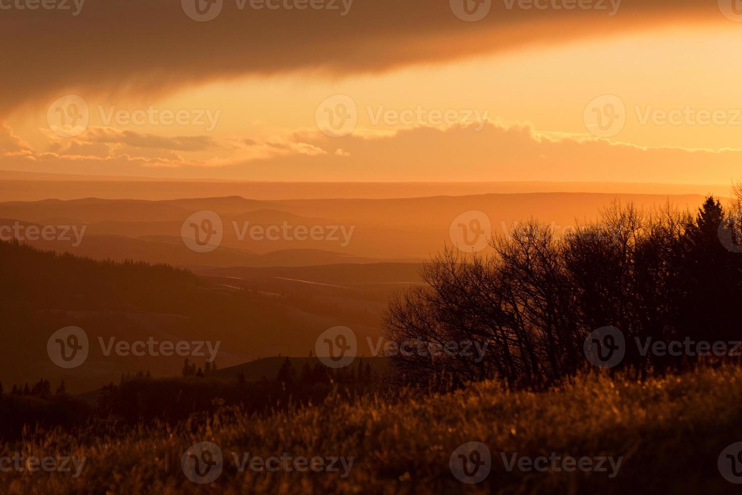 Cypress Hills Alberta Saskatchewan photo