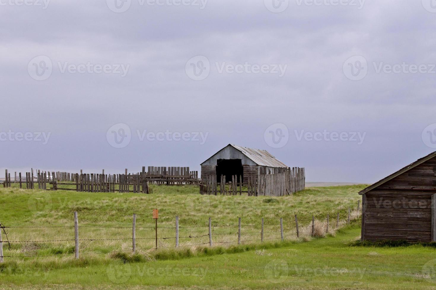 Saskatchewan Farm Buildings photo