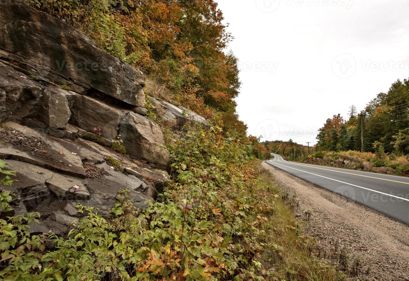 Algonquin Park Muskoka Ontario photo