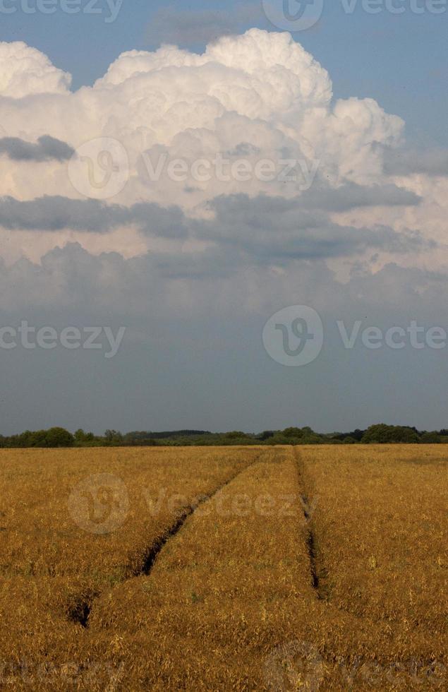 nubes de tormenta saskatchewan foto