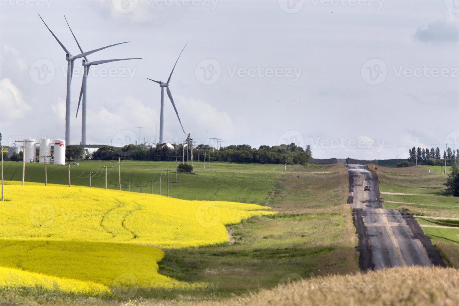 Wind Farm Saskatchewan photo