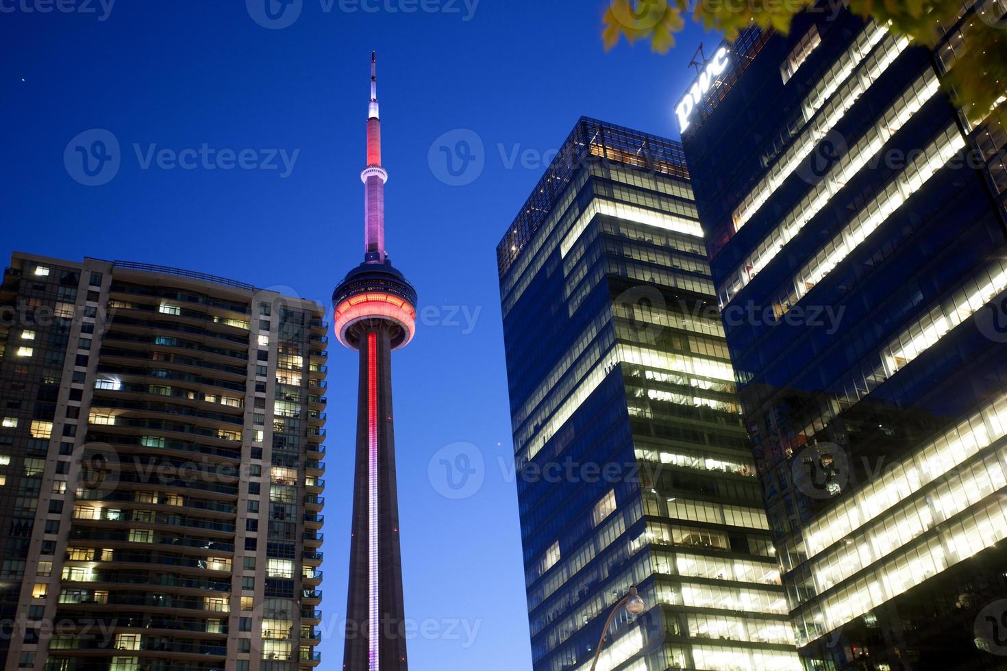 Night Photo Toronto City