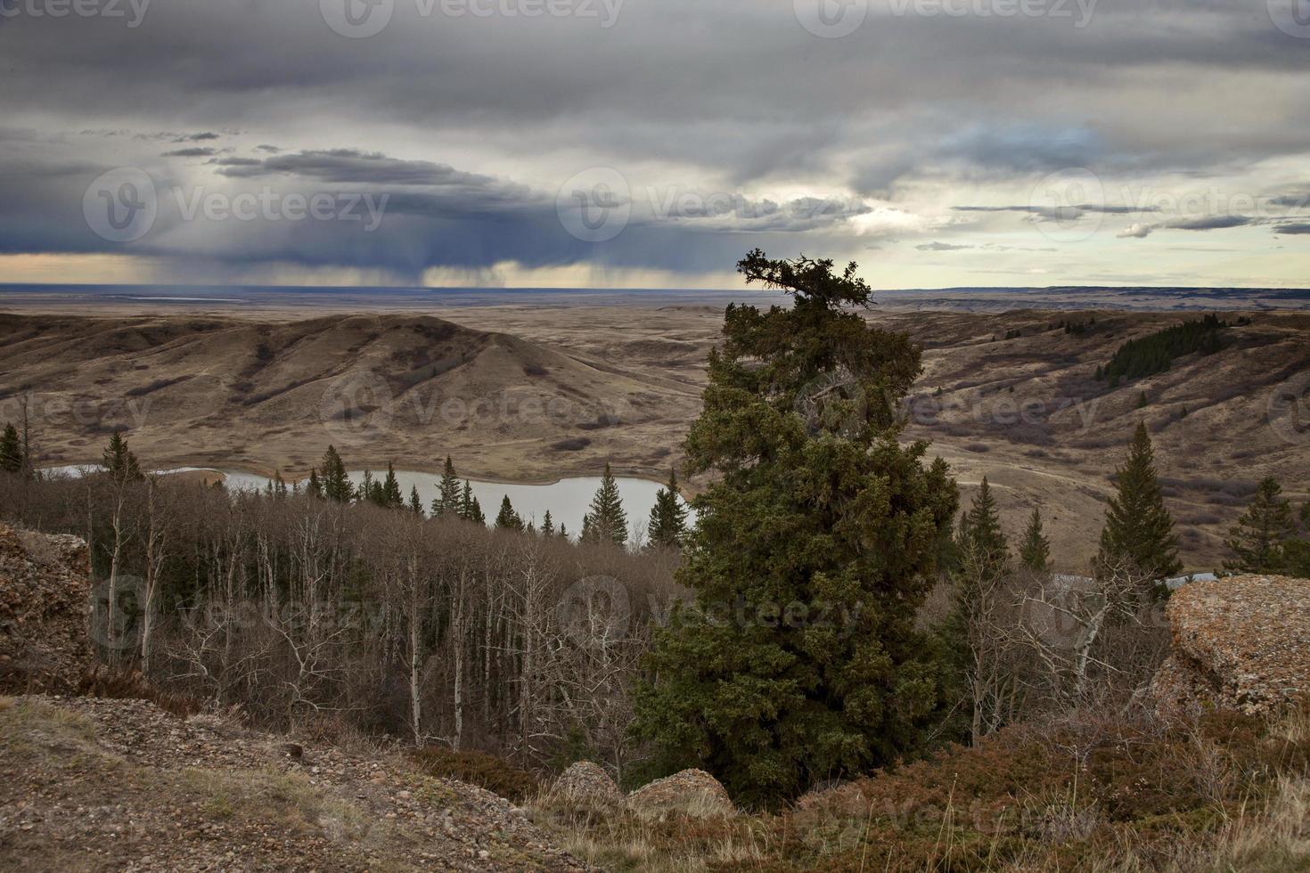 Cypress Hills Alberta Saskatchewan 5437354 Stock Photo at Vecteezy