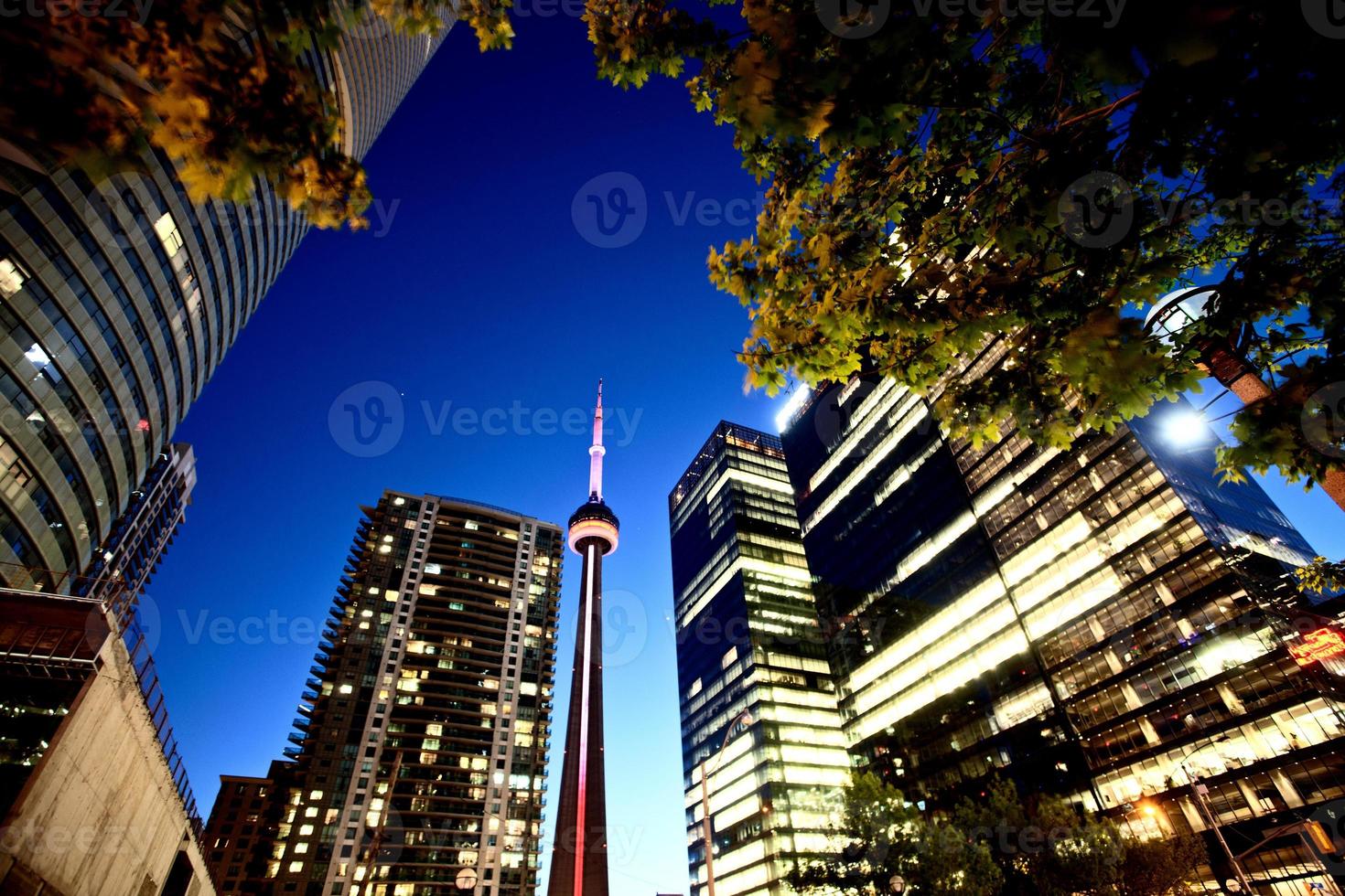 Night Photo Toronto City