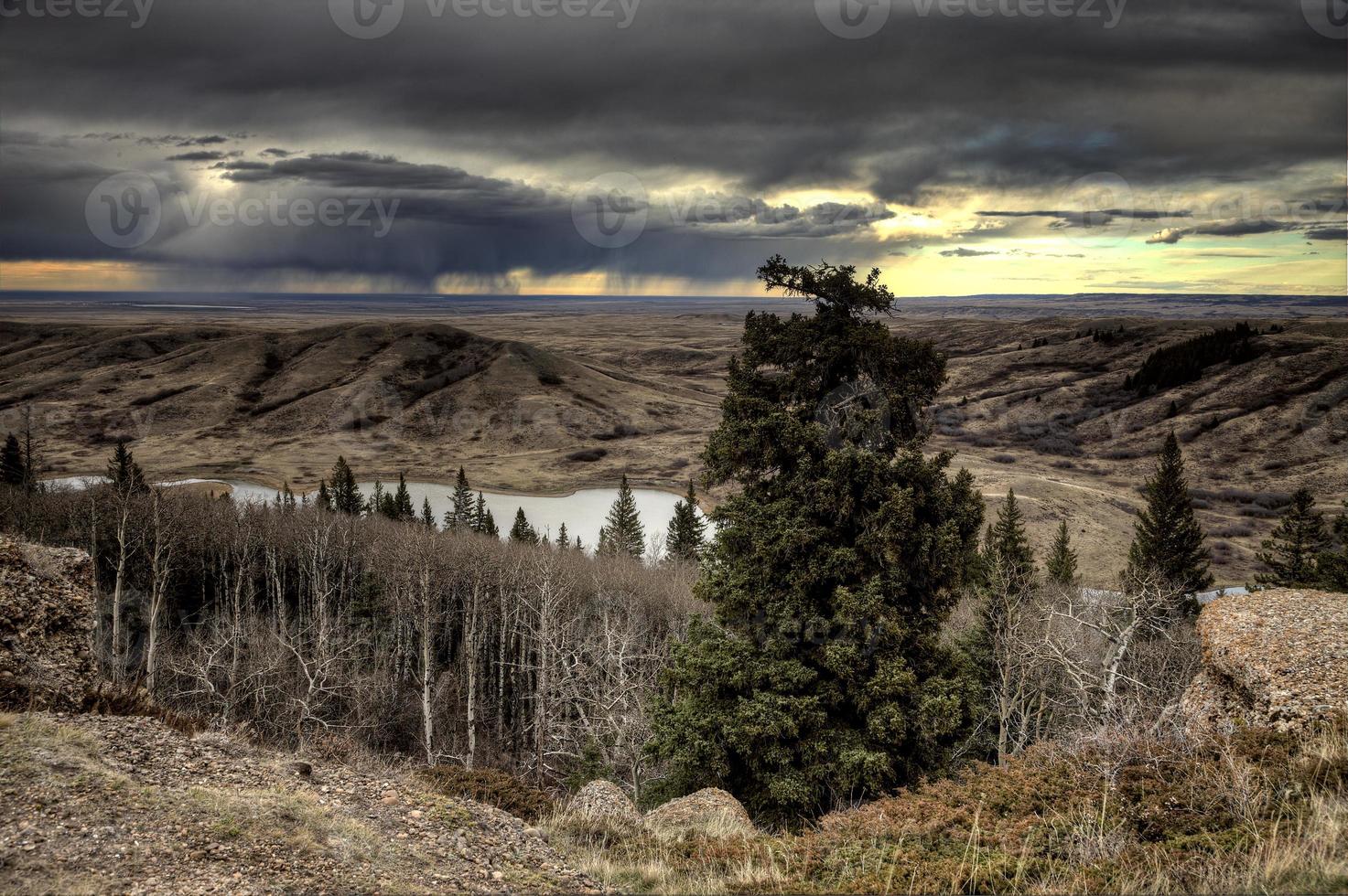 Cypress Hills Alberta Saskatchewan 5437918 Stock Photo at Vecteezy