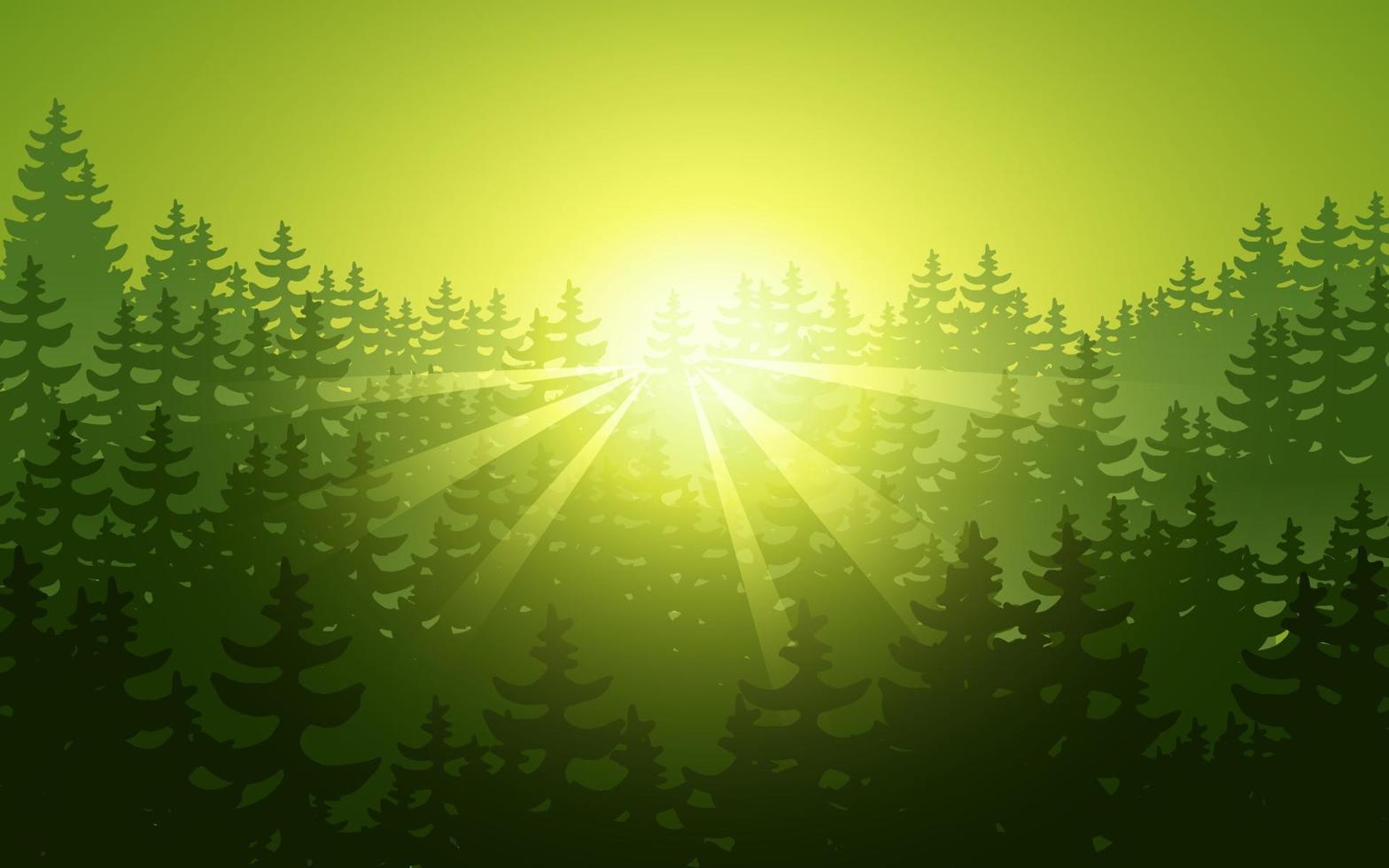 bosque de coníferas silueta sunrise escena paisaje vector