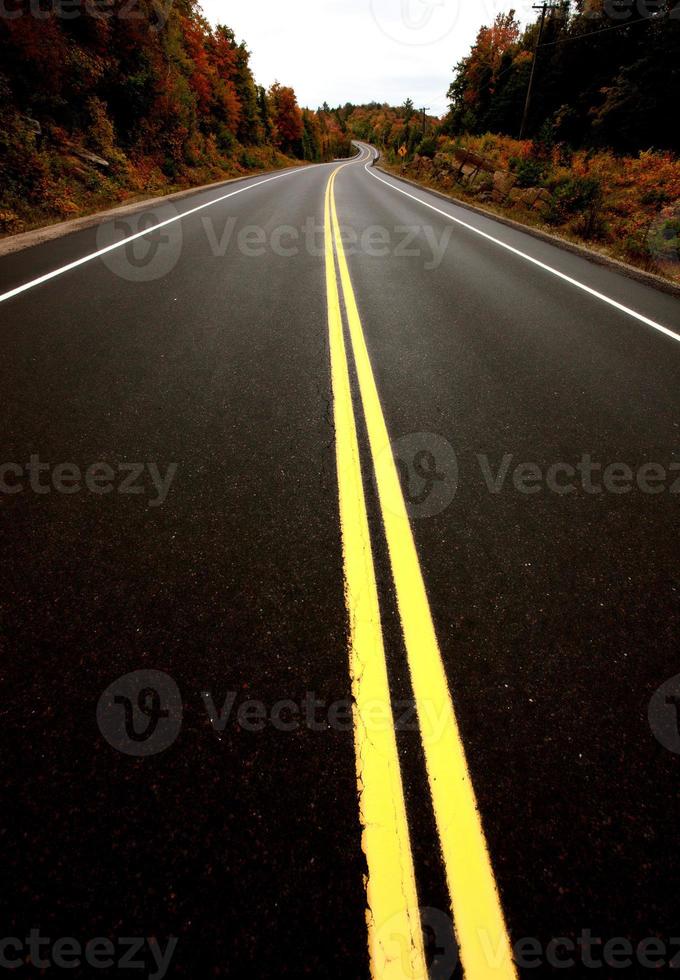 Algonquin Park Muskoka Ontario Road photo