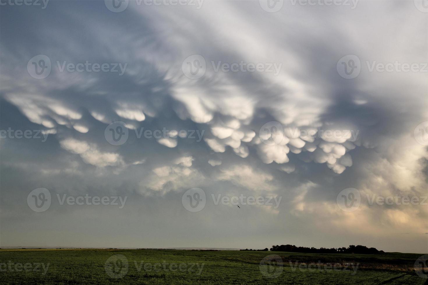 Storm Clouds Saskatchewan photo