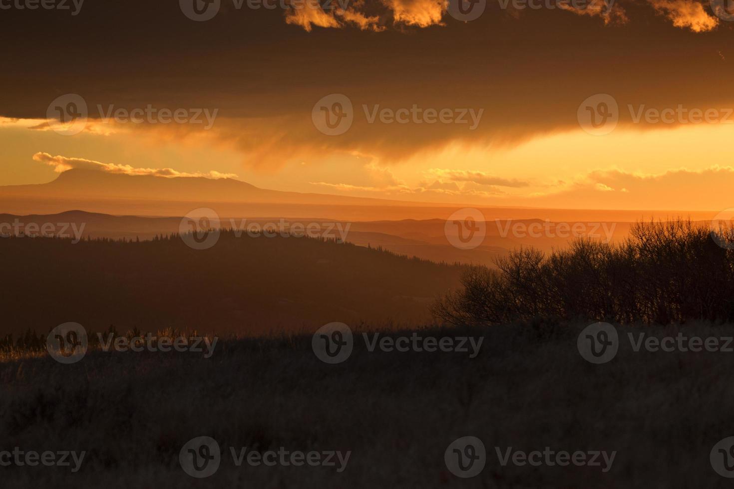 Cypress Hills Alberta Saskatchewan photo