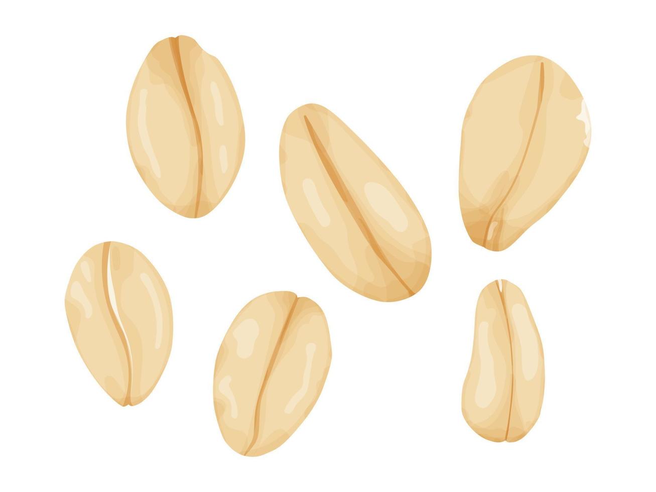 Flakes oats. Vector illustration of bunting. Isolated drawing of muesli.