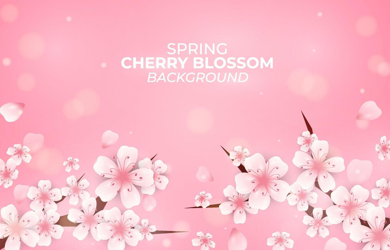 Background of Spring Cherry Blossom vector
