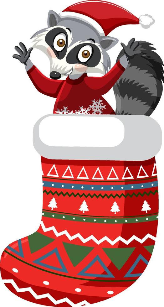 Cartoon raccoon in Christmas stocking in cartoon style vector