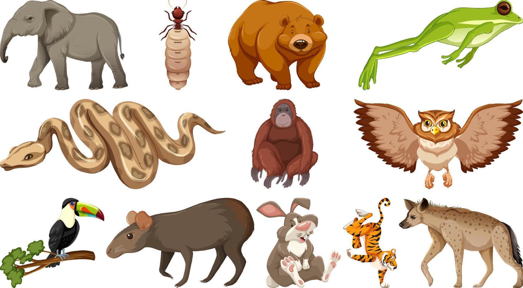 Set of different wild animals cartoon characters vector