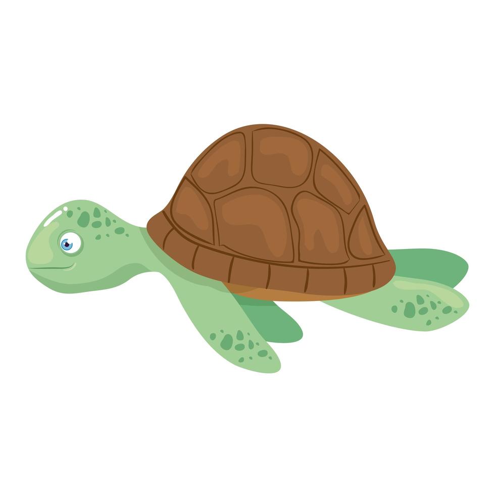 sea underwater life, tortoise on white background vector