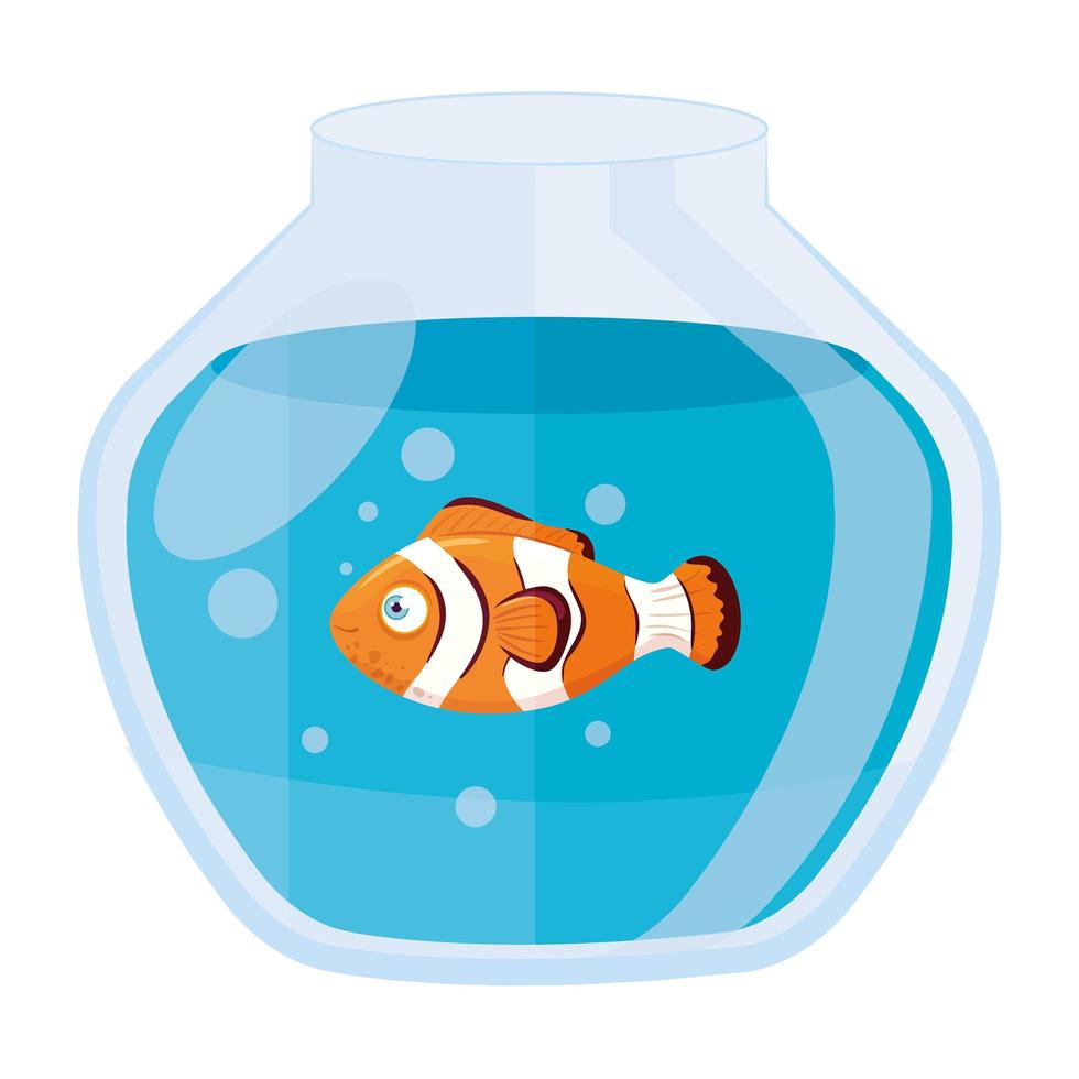 aquarium clownfish with water, aquarium marine pet vector