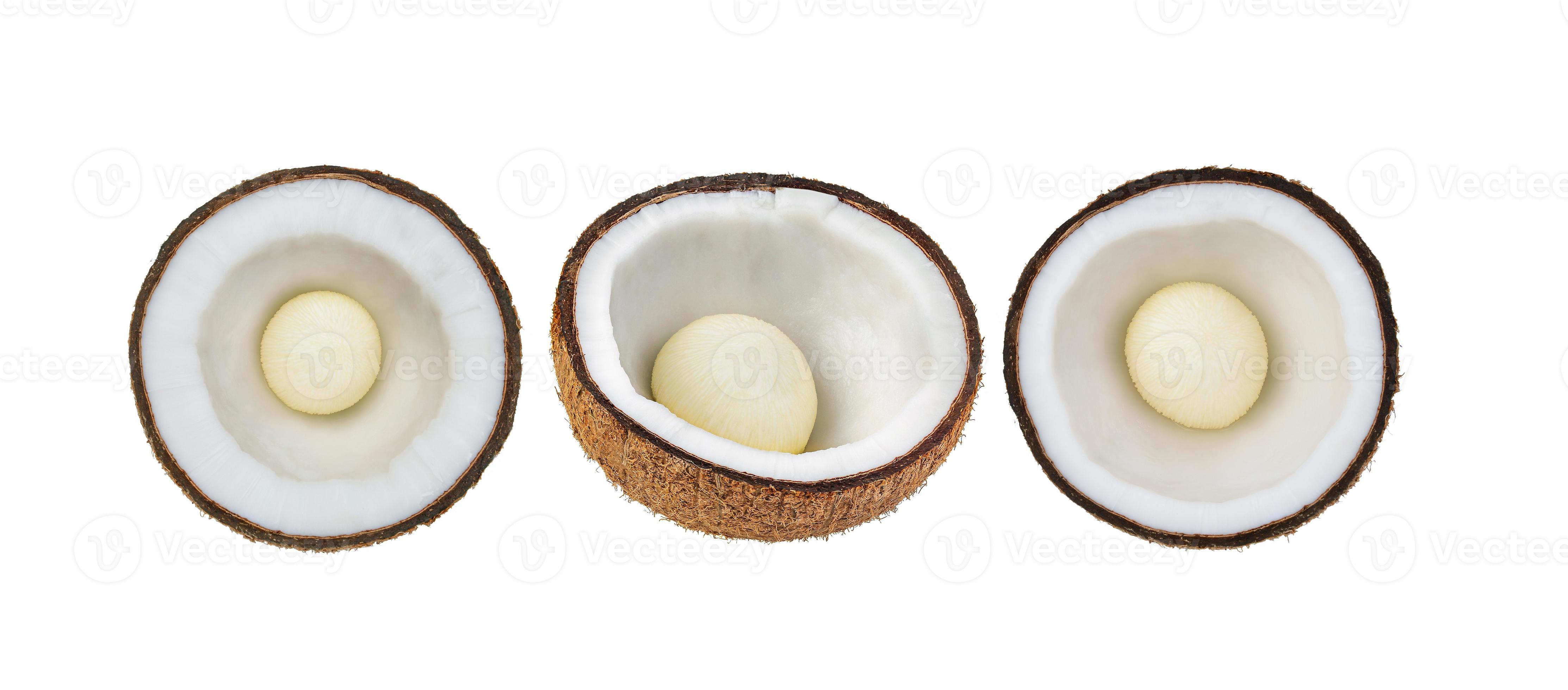 Coconut Half isolated on white background 5443059 Stock Photo at Vecteezy