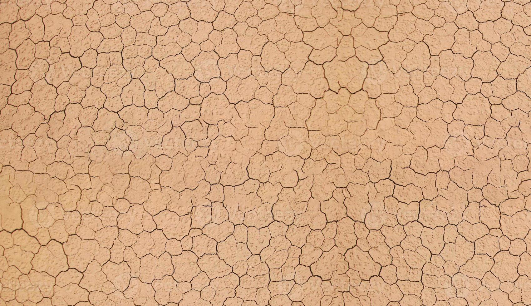 Texture of the earth with a crack on the surface photo