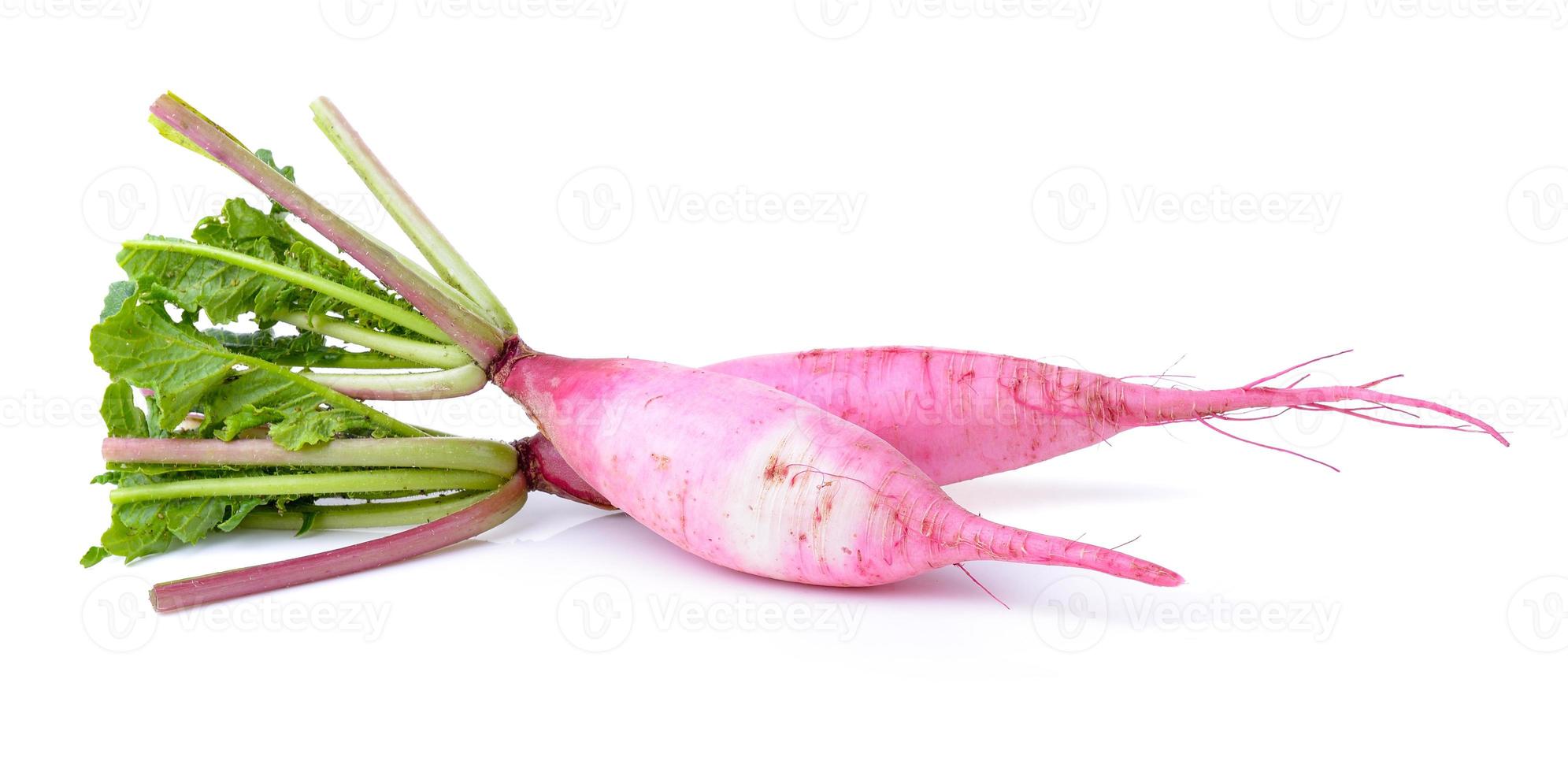 radishes isolated on white background photo