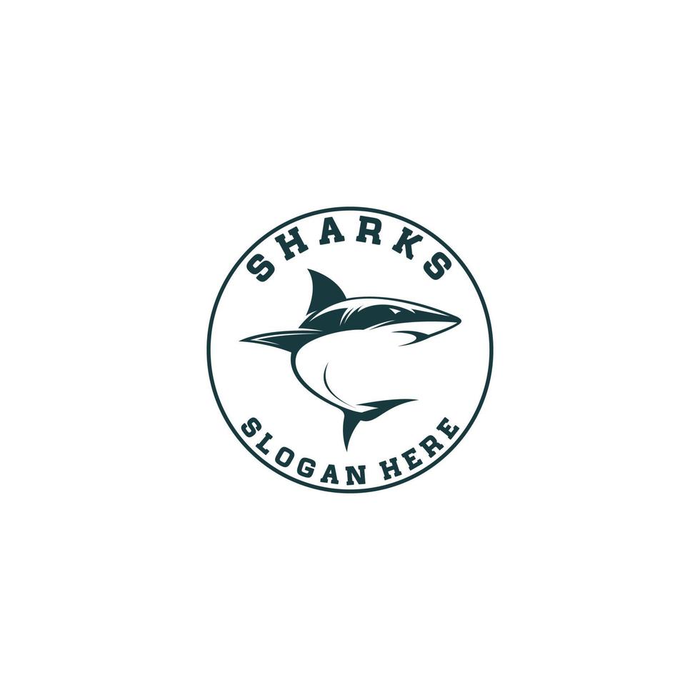 vector de plantilla de logotipo de tiburón en fondo blanco