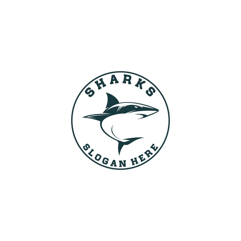 shark logo template vector in white background