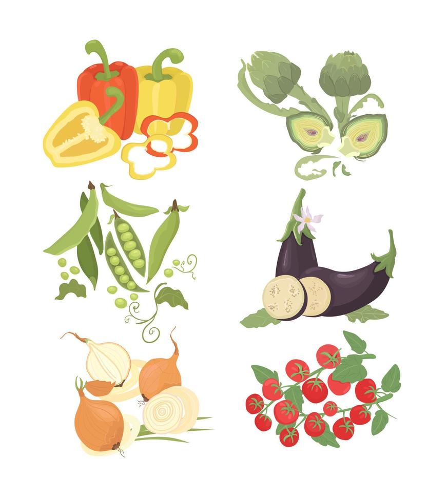 set of fresh vegetables. Healthy fresh vegetables. Design of a farmer's market, menu, advertising. Eggplant, artichoke, peas, onions, tomatoes, peppers. vector