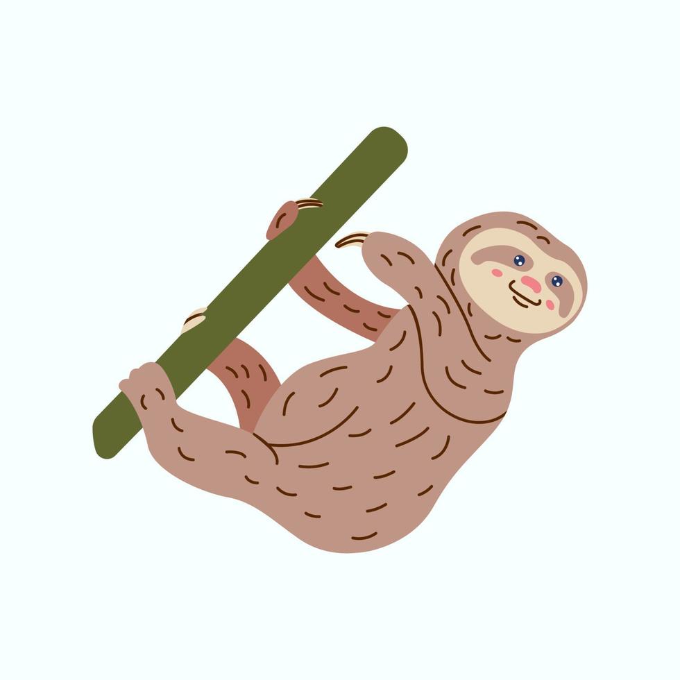 Cartoon illustration funny and cute sloth. Vector jungle animal holding tree